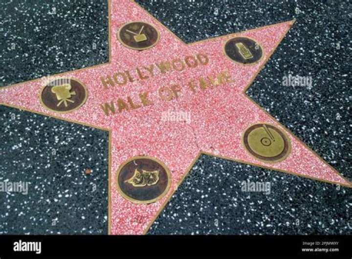 A Hollywood Star On The Rise